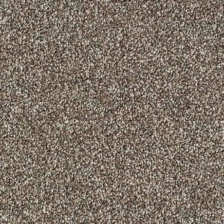 Abingdon Stainfree Country Life Carpet Exen Flooring