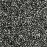 Abingdon Stainfree Country Life Carpet Exen Flooring