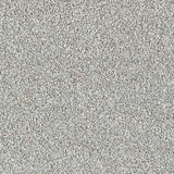 Abingdon Stainfree Country Life Carpet Exen Flooring