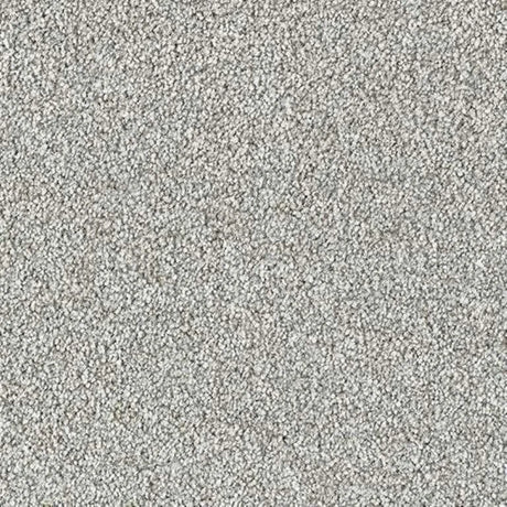 Abingdon Stainfree Country Life Carpet Exen Flooring