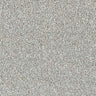 Abingdon Stainfree Country Life Carpet Exen Flooring