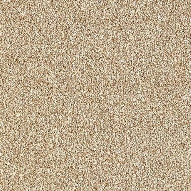 Abingdon Stainfree Country Life Carpet Exen Flooring