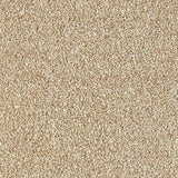 Abingdon Stainfree Country Life Carpet Exen Flooring