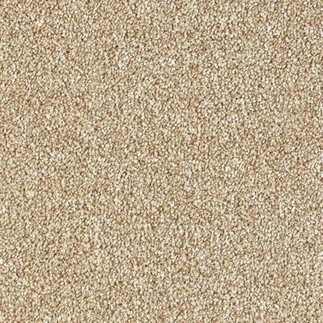Abingdon Stainfree Country Life Carpet Exen Flooring