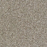 Abingdon Stainfree Country Life Carpet Exen Flooring
