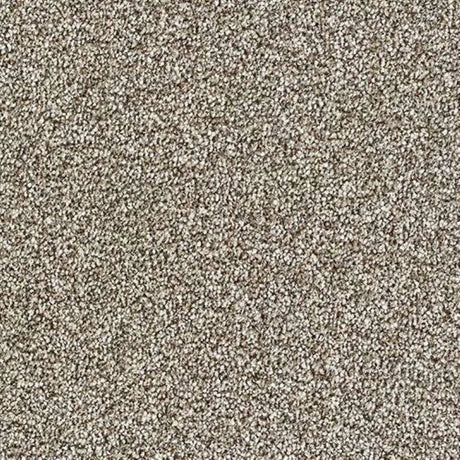 Abingdon Stainfree Country Life Carpet Exen Flooring