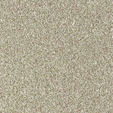 Abingdon Stainfree Country Life Carpet Exen Flooring