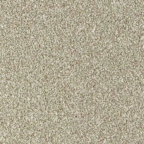Abingdon Stainfree Country Life Carpet Exen Flooring