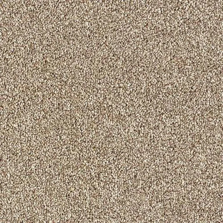Abingdon Stainfree Country Life Carpet Exen Flooring