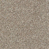 Abingdon Stainfree Country Life Carpet Exen Flooring