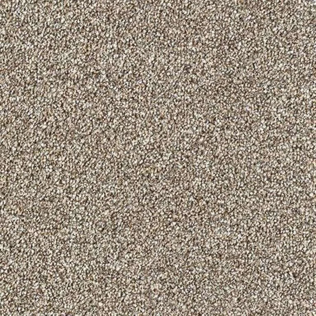 Abingdon Stainfree Country Life Carpet Exen Flooring