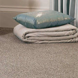 Abingdon Stainfree Country Life Carpet Exen Flooring