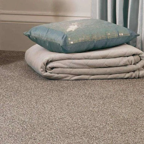 Abingdon Stainfree Country Life Carpet Exen Flooring