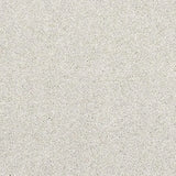 Abingdon Stainfree Finesse Carpet Exen Flooring