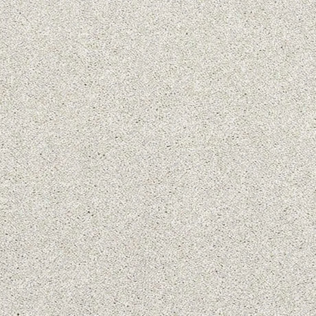 Abingdon Stainfree Finesse Carpet Exen Flooring