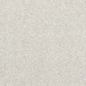 Abingdon Stainfree Finesse Carpet Exen Flooring