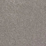 Abingdon Stainfree Finesse Carpet Exen Flooring