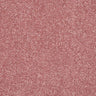 Abingdon Stainfree Finesse Carpet Exen Flooring