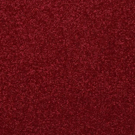 Abingdon Stainfree Finesse Carpet Exen Flooring