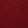 Abingdon Stainfree Finesse Carpet Exen Flooring