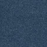 Abingdon Stainfree Finesse Carpet Exen Flooring