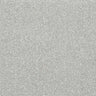 Abingdon Stainfree Finesse Carpet Exen Flooring