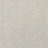 Abingdon Stainfree Finesse Carpet Exen Flooring