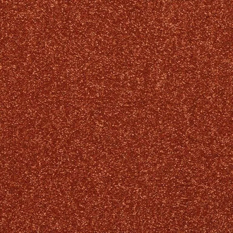 Abingdon Stainfree Finesse Carpet Exen Flooring