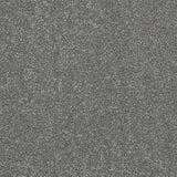Abingdon Stainfree Finesse Carpet Exen Flooring