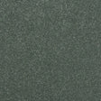 Abingdon Stainfree Maximus Carpet Exen Flooring