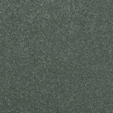 Abingdon Stainfree Maximus Carpet Exen Flooring