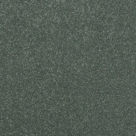 Abingdon Stainfree Maximus Carpet Exen Flooring
