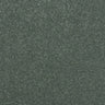 Abingdon Stainfree Maximus Carpet Exen Flooring