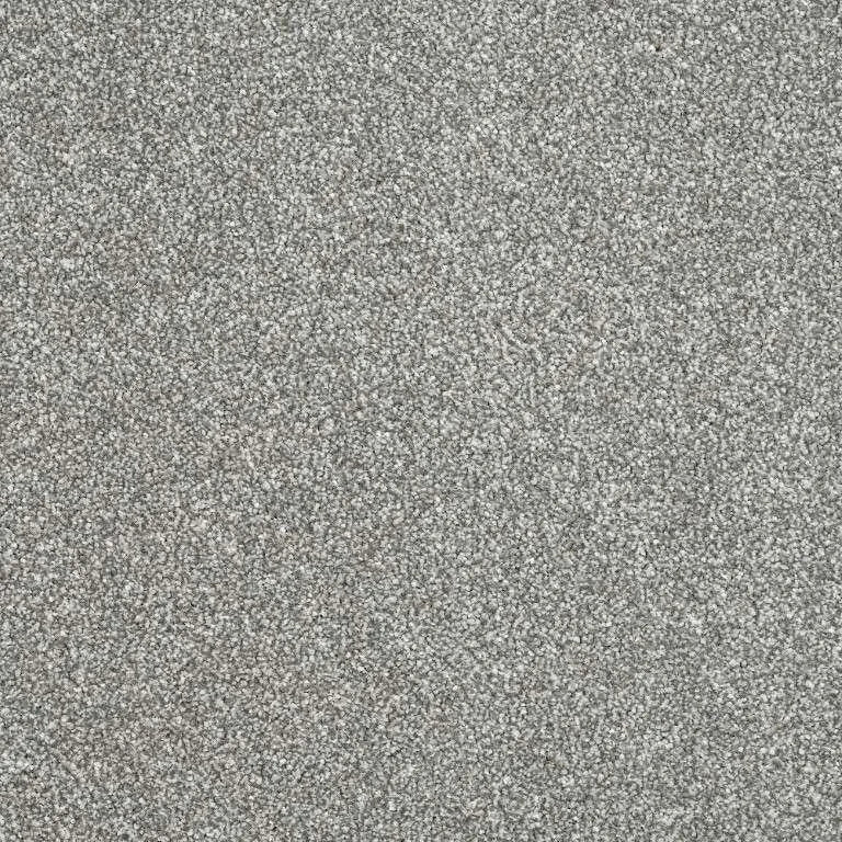 Abingdon Stainfree Maximus Carpet Exen Flooring