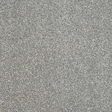 Abingdon Stainfree Maximus Carpet Exen Flooring