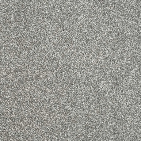 Abingdon Stainfree Maximus Carpet Exen Flooring