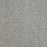 Abingdon Stainfree Maximus Carpet Exen Flooring