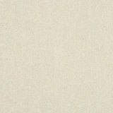 Abingdon Stainfree Maximus Carpet Exen Flooring