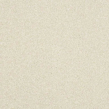 Abingdon Stainfree Maximus Carpet Exen Flooring