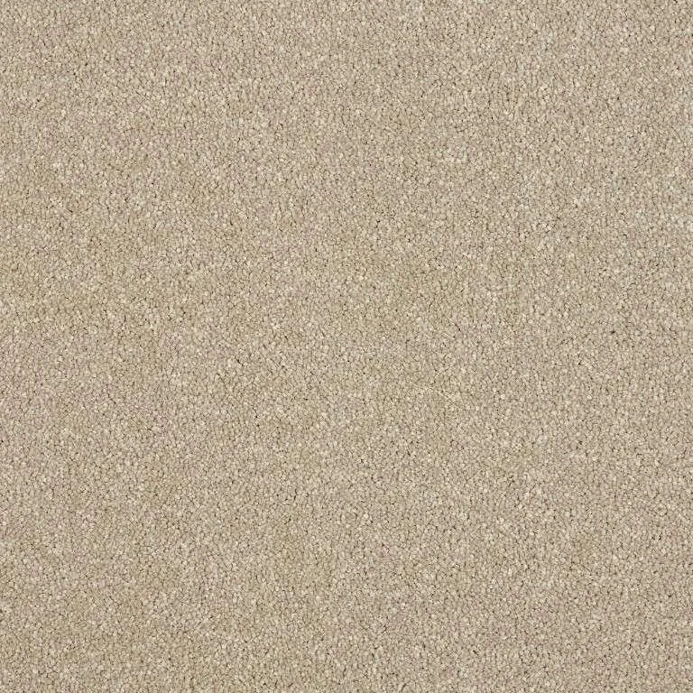 Abingdon Stainfree Maximus Carpet Exen Flooring