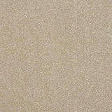 Abingdon Stainfree Maximus Carpet Exen Flooring