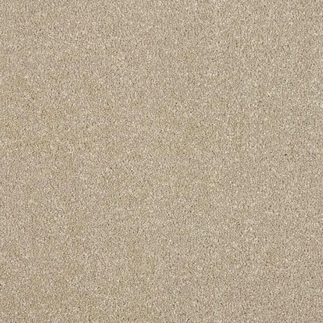 Abingdon Stainfree Maximus Carpet Exen Flooring
