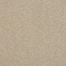 Abingdon Stainfree Maximus Carpet Exen Flooring