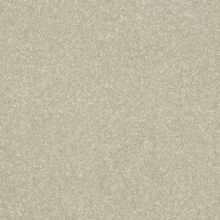 Abingdon Stainfree Maximus Carpet Exen Flooring