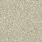 Abingdon Stainfree Maximus Carpet Exen Flooring
