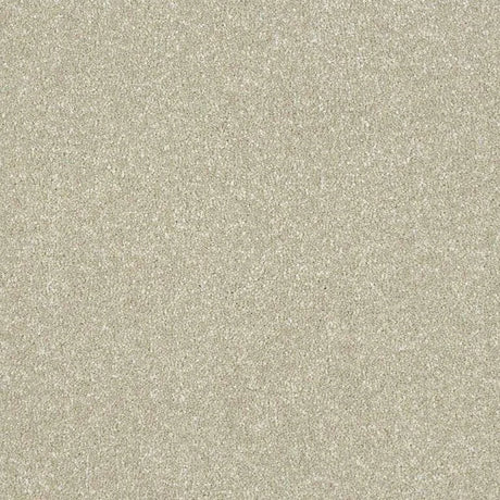 Abingdon Stainfree Maximus Carpet Exen Flooring