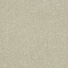 Abingdon Stainfree Maximus Carpet Exen Flooring