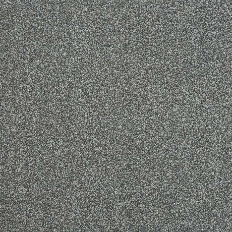 Abingdon Stainfree Maximus Carpet Exen Flooring