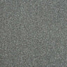 Abingdon Stainfree Maximus Carpet Exen Flooring