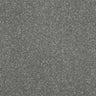 Abingdon Stainfree Maximus Carpet Exen Flooring